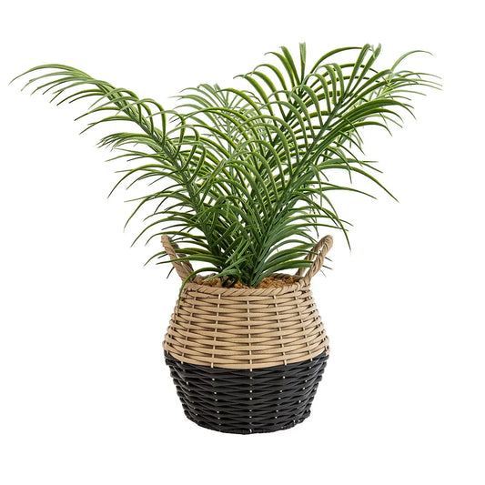 Candlelight Green 20cm Palm Artificial plant in Natural Wicker Basket