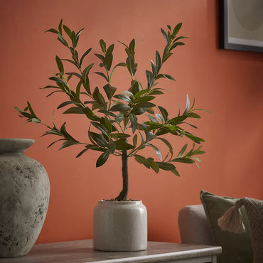 Green 58cm Olive Artificial plant in Cream Speckled Ceramic Pot
