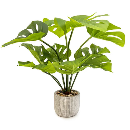 Candlelight Green 50cm Cheese plant Artificial plant in Grey Ceramic Pot