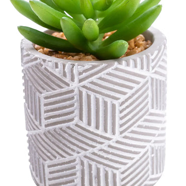 Candlelight Green 12cm Succulent Artificial plant in Grey Ceramic Pot